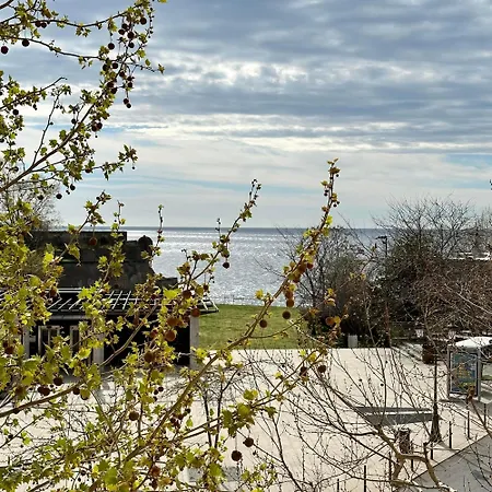 Nuit Sous La Voute バスティア